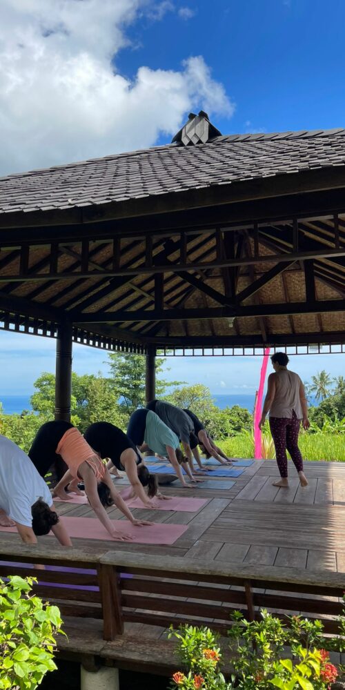 Bali Retreat 2024 yoga cook heal enjoy medical medium carolin setzer the art of wellbeing