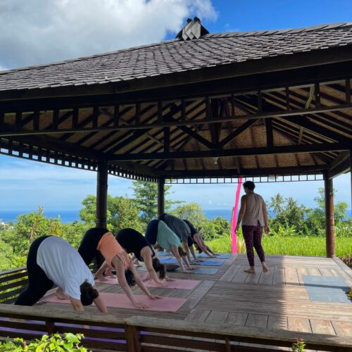 Bali Retreat 2024 yoga cook heal enjoy medical medium carolin setzer the art of wellbeing