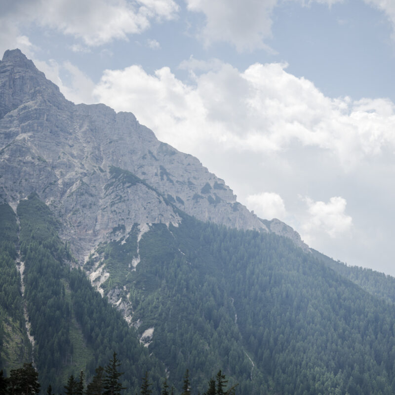 erschöpfte Führungskräfte di Carolin Setzer mindful self-leadership Miriam mehlmal