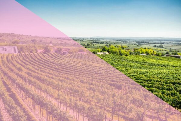 energized retreat 2025